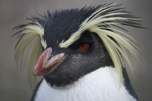 ну разве он не милашка