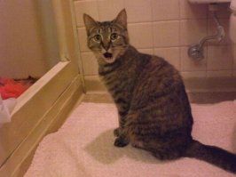 29 случайных фактов, которые изменят ваш привычный взгляд на еду