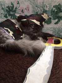 Котики, это наше все! Мимишность поста зашкаливает. У самого котишка-пират, люблю его, не мог пройти мимо, плюсану.