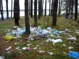 после такого природа ,обычно, выглядит так ....