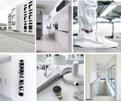 Фотоподборка за 10.06.2016