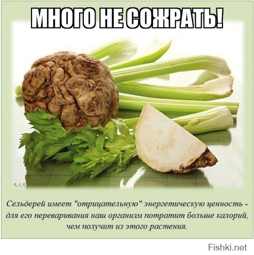 Интересные факты