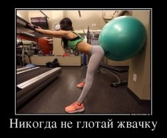 12 общеизвестных фактов, оказавшихся мифами