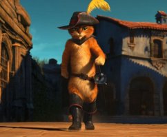 Таксидермисты жгут