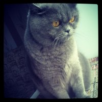 Ага , супер :) только ооочень строгая дама )))