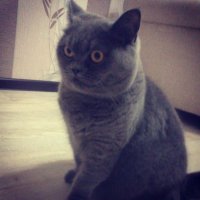 Ага , супер :) только ооочень строгая дама )))