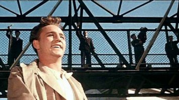 Эх, хорошо сидим!