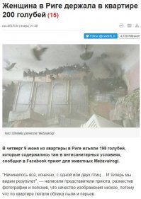 Это всё стереотипы :) Нет, не одна - замужем больше 10 лет, дочь школу заканчивает. Всех котов вместе с супругом подбирали - уличные, больные и никому не нужные. В Латвии когда жили - было 3 (больше квартира не позволяла себе вместить), сейчас переехали с ними в Болгарию и подобрали ещё хвостатых. Благо, новая жилплощадь позволяет - сегодня им отведён целый этаж с лазалками и лежанками. 

Ухаживаем и кормим правильно - два туалета, убираются через день; пылесосим и отпариваем Кёрхером с такой же регулярностью - запахов нет; еда - раз в месяц закупаем большой мешок Eukanuba или Purina ProPlan. Стены покрашены, чтобы обои не свисали, на мебель раз в два года шьём чехлы - так что ободранностей в квартире не присутствует. 

Все стерилизованы, привиты и с европейскими паспортами :) 

Тут новость прочитали, что тётя в Латвии содержала в квартире 200 голубей - всё засрано было - это не про нас: мы не больные кошатники, а осознающие всю ответсвенность люди :)