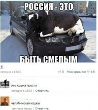 Смешные комментарии из социальных сетей 10.06.16 