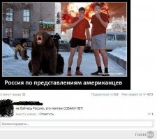 Ну собаки есть такие. А вот где они видели чтоб в России снег чистили?