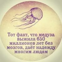 Комментарии фишкян