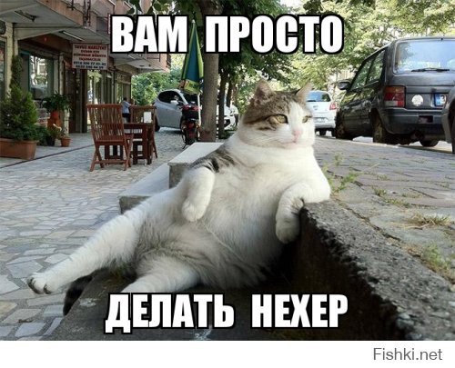 Новый бренд Крыма - Вежливые люди и кот, как символ мирной жизни