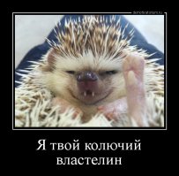 Выдача ежихи замуж