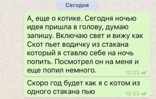 Как оказалось, мой тоже так делает, падла шерстяная. из своей миски не пьёт совсем, я-то думаю в чем дело, с потом застукала