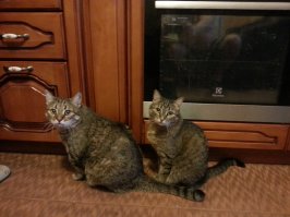 мама и "маленький" сынок. К сожалению уже оба умерли....