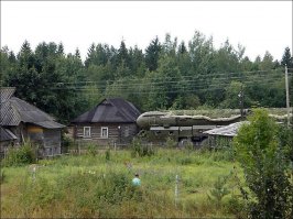 внук приехал к любимой бабуле )))))))