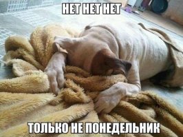 Смешные картинки