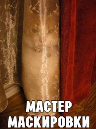 Смешные картинки