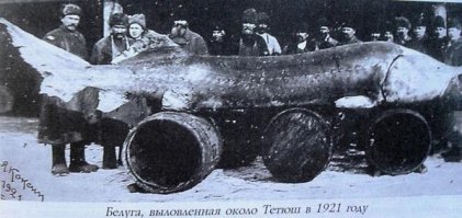 Очень интересные исторические фото