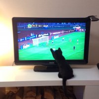 Шанель и Мишель.