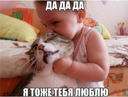 Дети и кошки