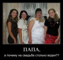 борода-это честь, а усы и у бабы есть