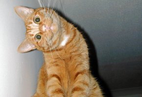 картинка блть!!!