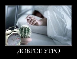 Пора вставать!