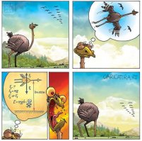 7 птиц которые не умеют летать