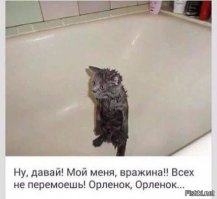 Эта просто убила.