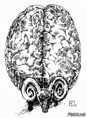 БМВ головного мозга