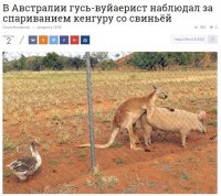 Смешные картинки