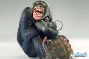 было или нет?