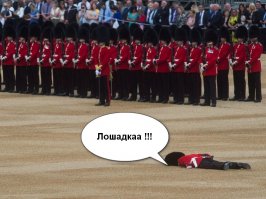 Гвардеец в обмороке стал новым объектом насмешек для фотошоп-умельцев