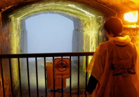 Также под водопадом еще и туннель есть с выходом на смотровую площадку за падающей водой. По моему, на лифте опускали даже, был там в 1993-м. Внизу на кораблике не очень приятно: несмотря на плащи, все равно мокрые все из за водяного пара.