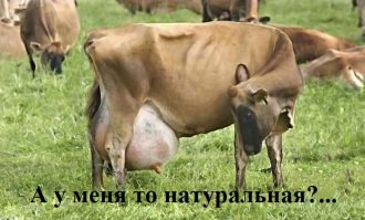 Скарлетт Йоханссон, Эмбер Роуз, Анна Семенович и ещё 7 звёзд с натуральной большой грудью