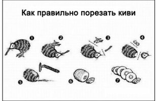 7 птиц которые не умеют летать