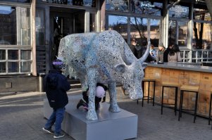 Одесса, 2015 год.