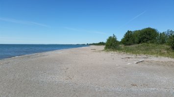 Мне кажется нужно места аккуратнее выбирать, тогда ожидание с реальностью будет совпадать. Вот у меня в основном так получается. Последнюю фотку 2 дня назад сделал.