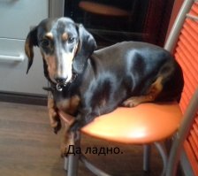 Раз такая тема....