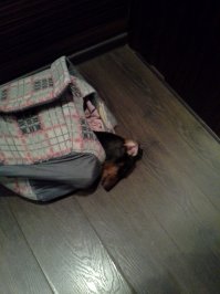 Раз такая тема....