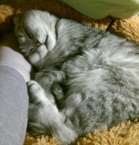 А мой для меня всё равно самый лучший