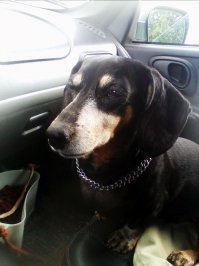 Это точно. Нашей 13 годиков...