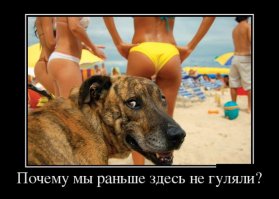 Ожидание и реальность
