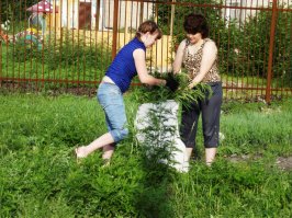 В КНДР курение марихуаны практически не преследуется. А растущая там повсеместно южноманьчжурская конопля ух как забориста! А на хавку его видать знатно пробивает!