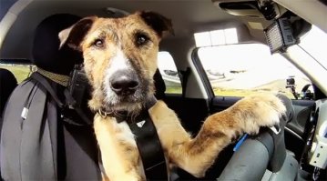 Обычное дело)))