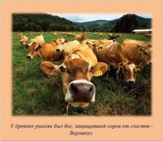 Не жена случайно?
