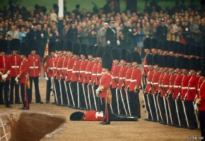 Гвардеец в обмороке стал новым объектом насмешек для фотошоп-умельцев