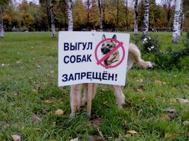 Анонимный борец с системой!)