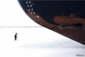 Очень красиво! А на этой и не сразу въедешь, что тут нос корабля!